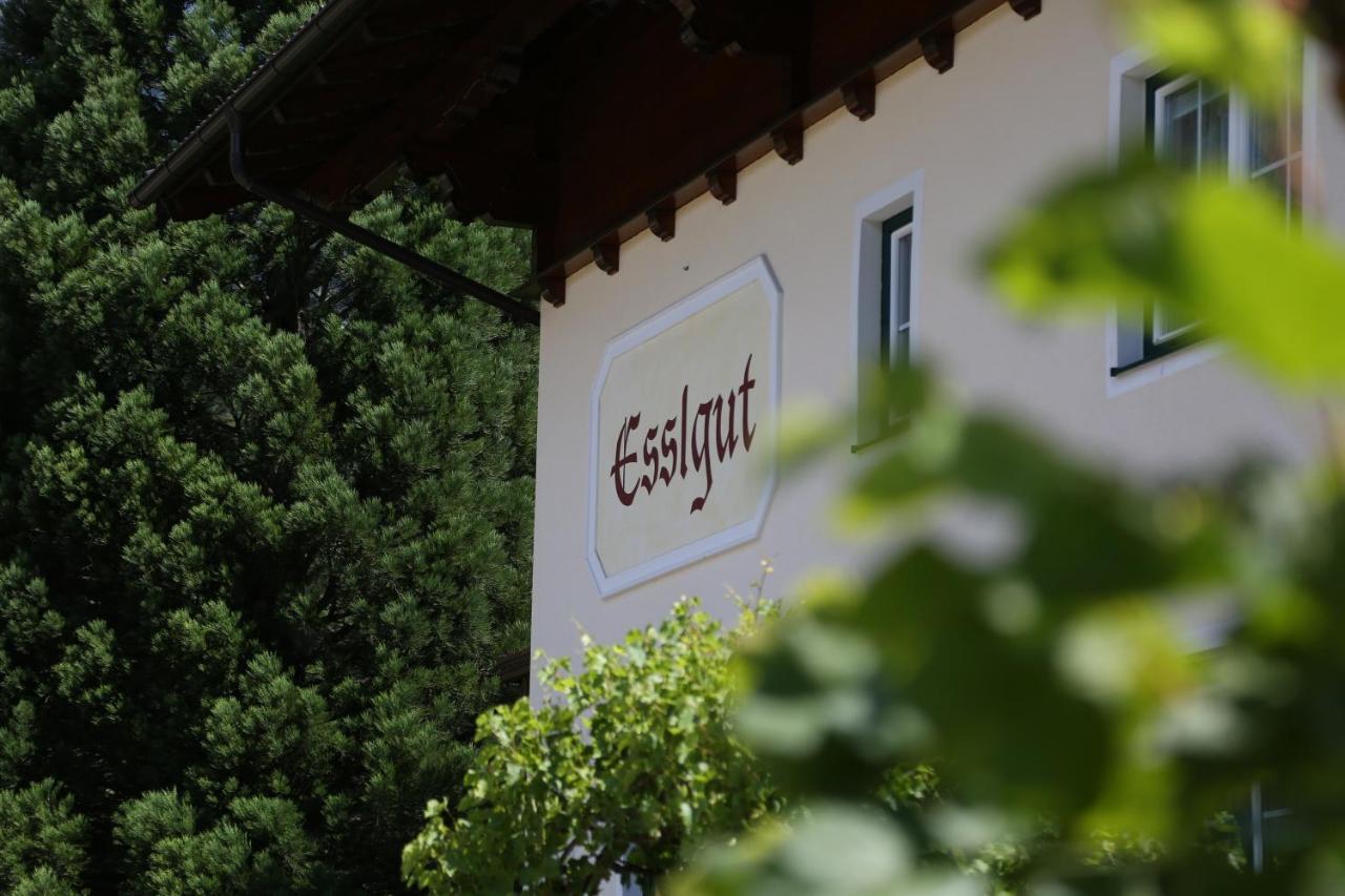 Appartments Am Esslgut Haus im Ennstal Eksteriør billede